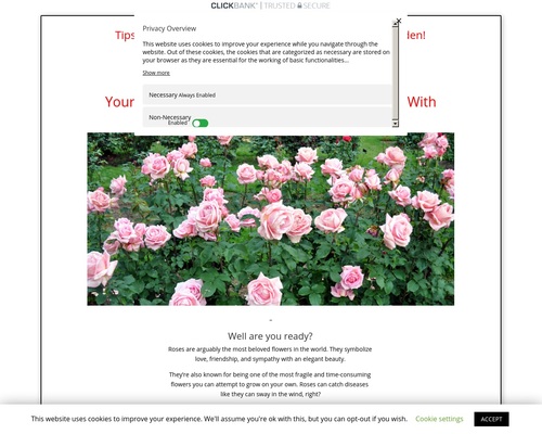 Tips for Growing and Enjoying Your Own Great Rose Garden! | How To Grow Great Roses!